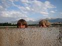20110714_Trekking_Koschkor 045c